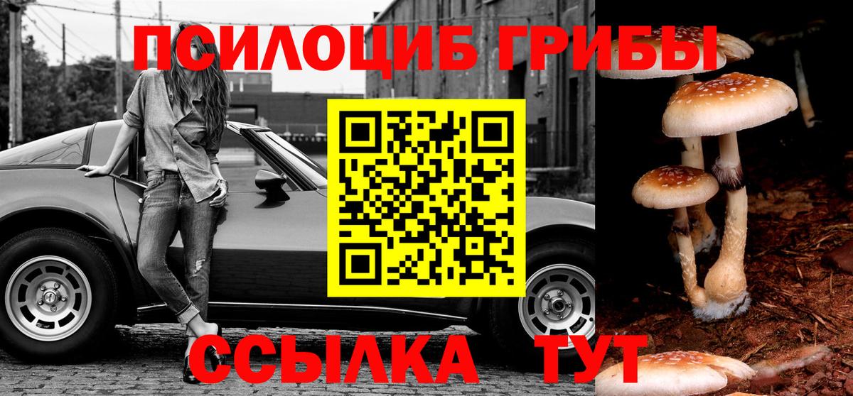Псилоцибиновые грибы Psilocybe Таганрог