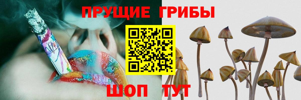 Псилоцибиновые грибы мицелий  Псилоцибиновые грибы MAGIC MUSHROOMS  Вход с VPN  Таганрог 